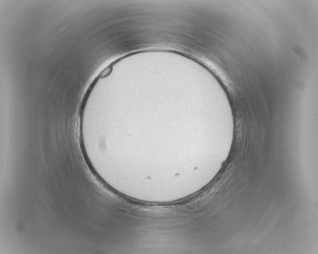 X0000115521476200912181456