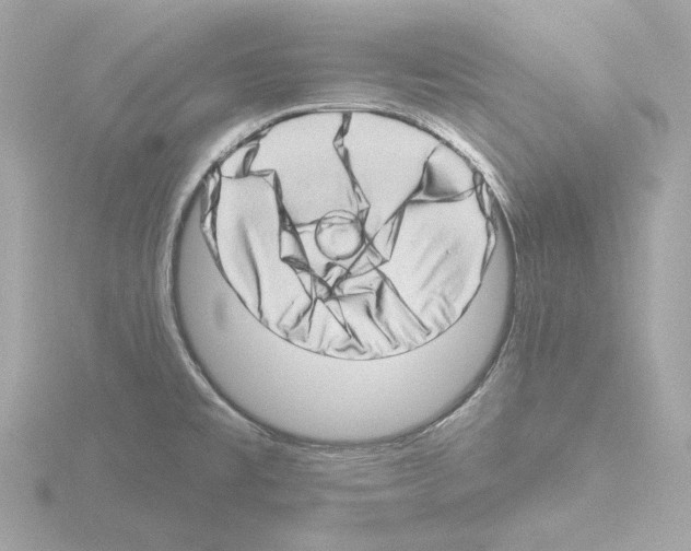 X0000115521477200912181456