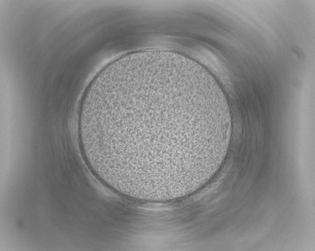 X0000115521478200912181456