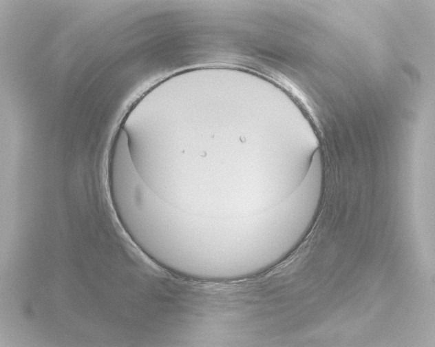 X0000115521480200912181456