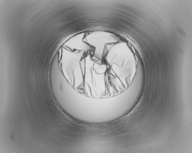 X0000115521481200912181456