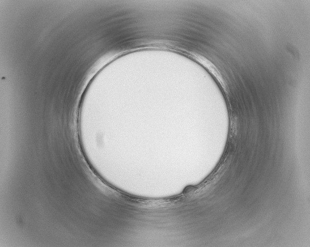 X0000115521482200912181456