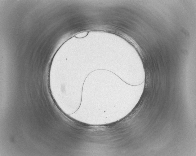 X0000115521483200912181456