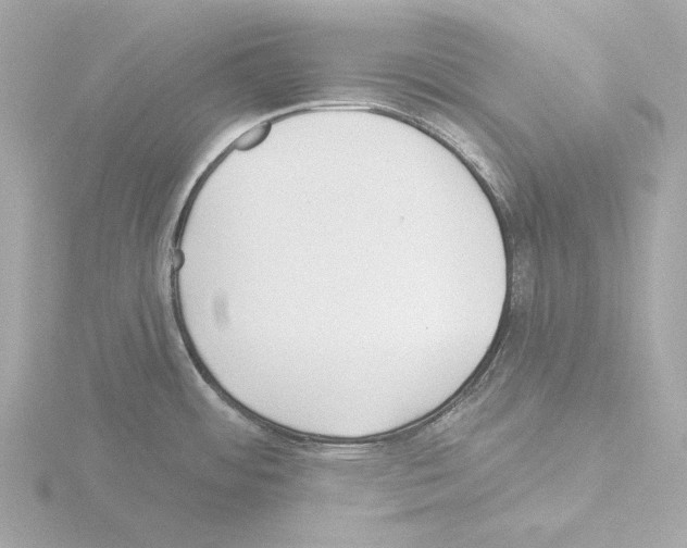 X0000115521484200912181456