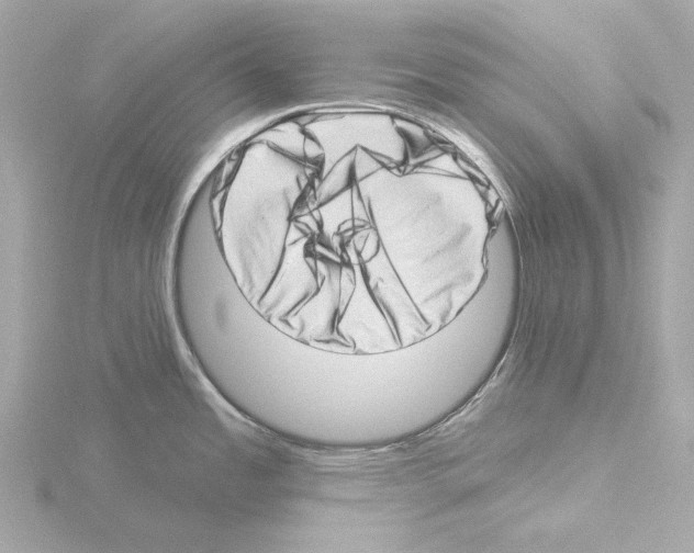 X0000115521485200912181456