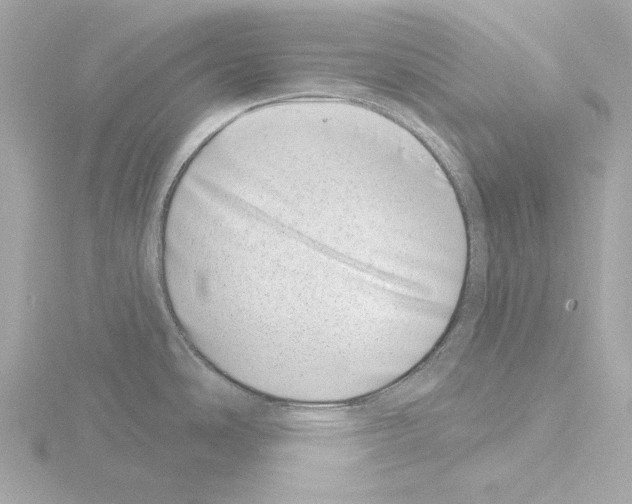 X0000115521486200912181456