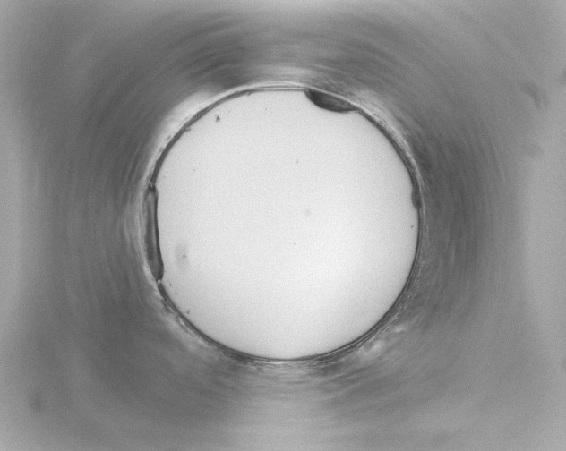 X0000115521488200912181456