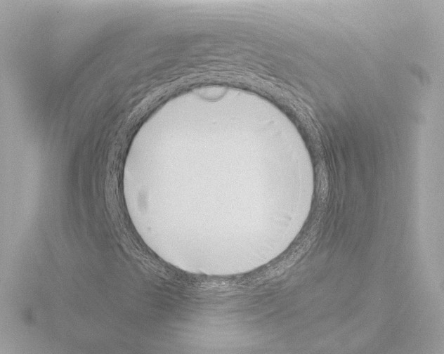 X0000115521489200912181455