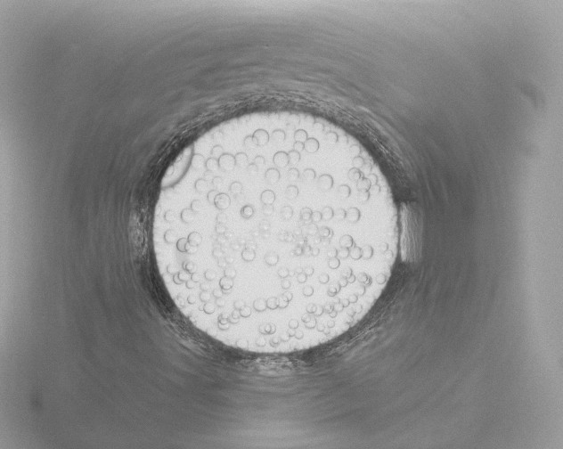 X0000115521491200912181455