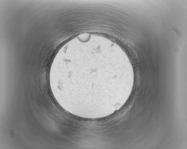 X0000115521497200912181455