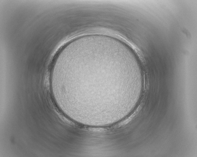 X0000115521498200912181455