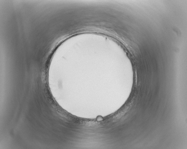 X0000115521501200912181455