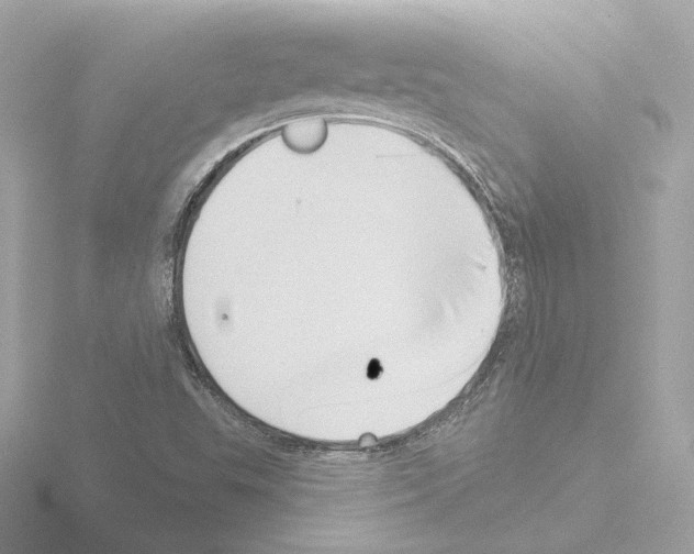 X0000115521503200912181455