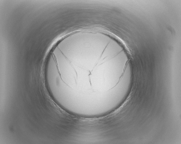 X0000115521506200912181455