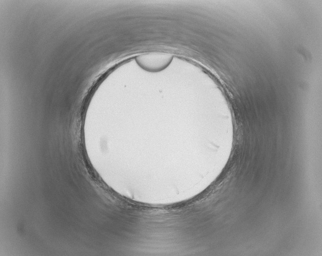 X0000115521507200912181455