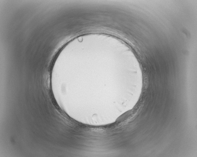 X0000115521509200912181455