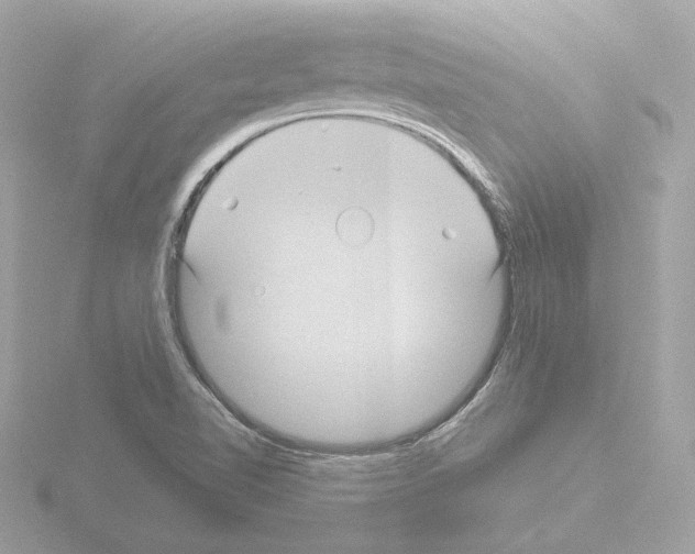 X0000115521510200912181455