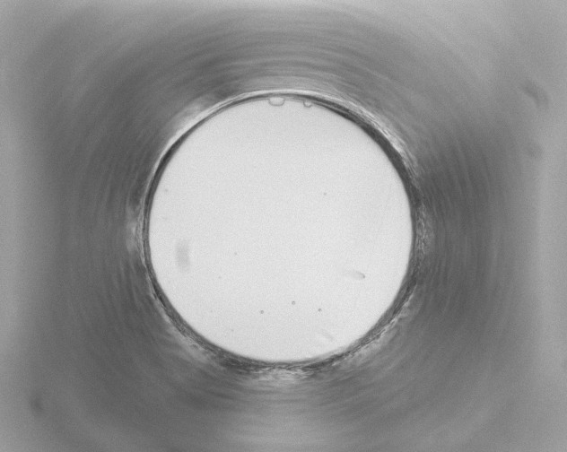 X0000115521513200912181455