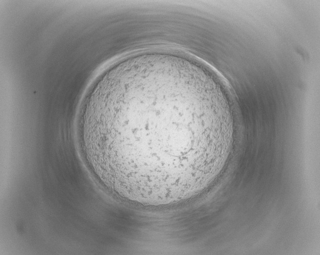 X0000115521514200912181455