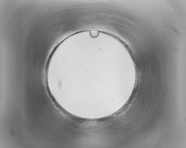 X0000115521517200912181456