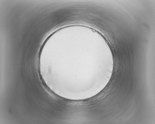 X0000115521519200912181456