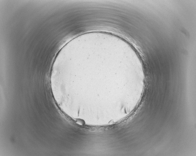 X0000115521521200912181456