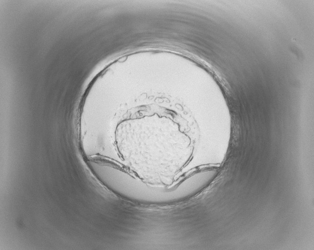 X0000115521522200912181456