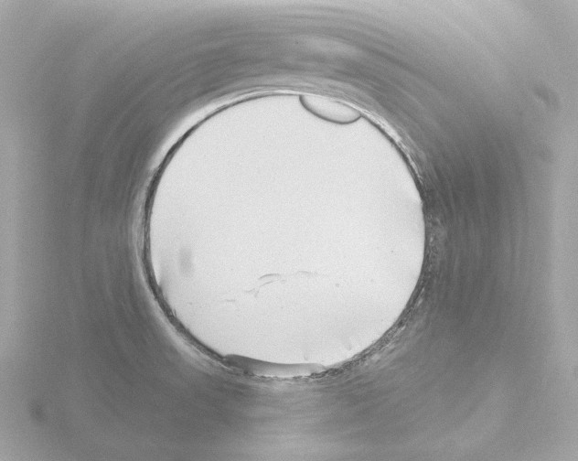 X0000115521523200912181456