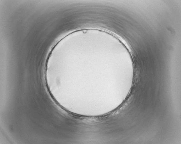 X0000115521525200912181456