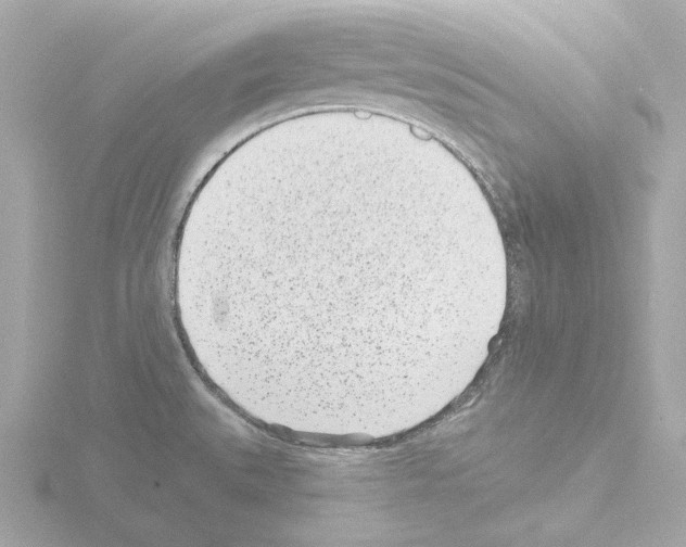 X0000115521527200912181456