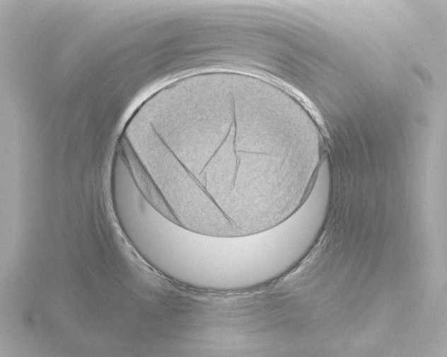 X0000115521530200912181456