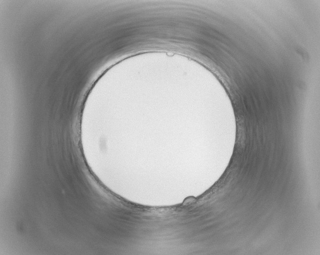 X0000115521531200912181456