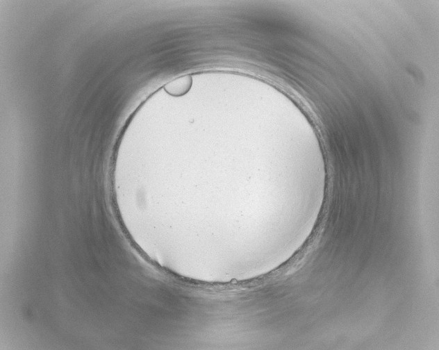 X0000115521533200912181456