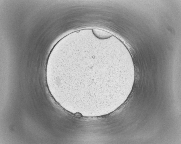 X0000115521534200912181456