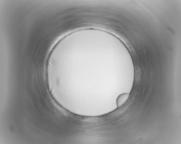 X0000115521535200912181456