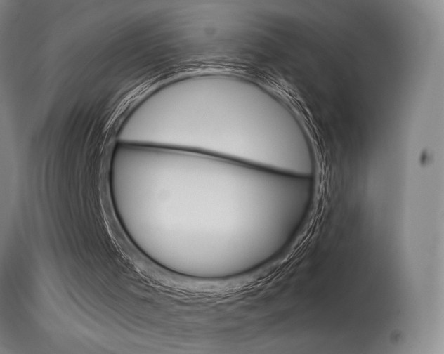X0000115530001200911061138