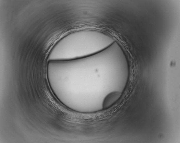X0000115530002200911061138