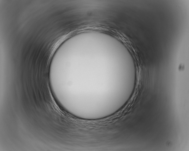 X0000115530003200911061138