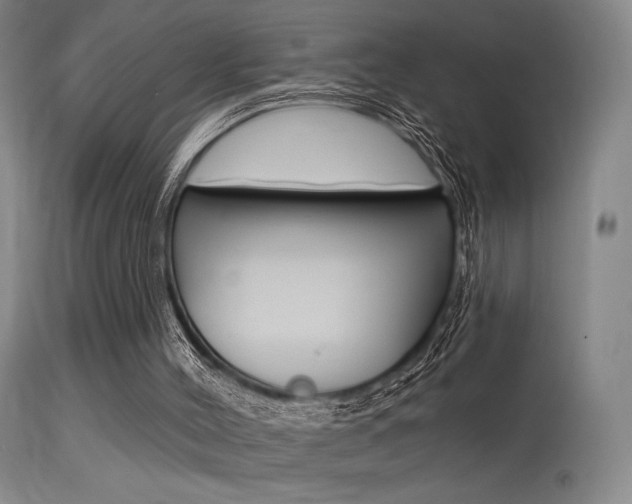 X0000115530004200911061138