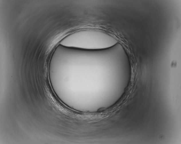 X0000115530005200911061138