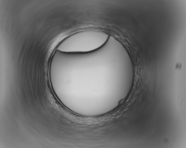 X0000115530006200911061138