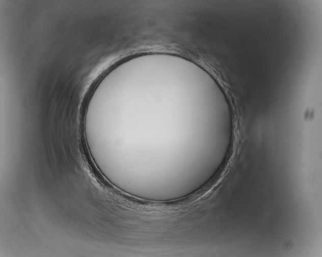 X0000115530008200911061138