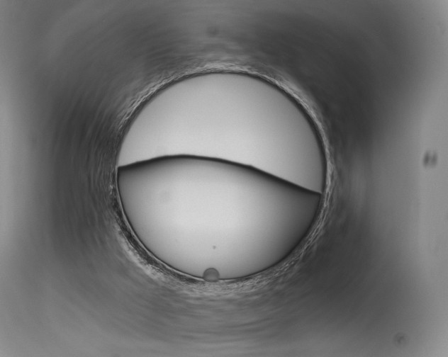 X0000115530009200911061138