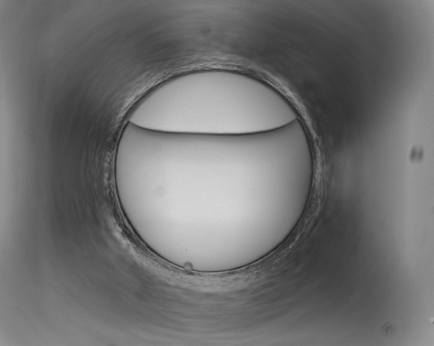 X0000115530010200911061138