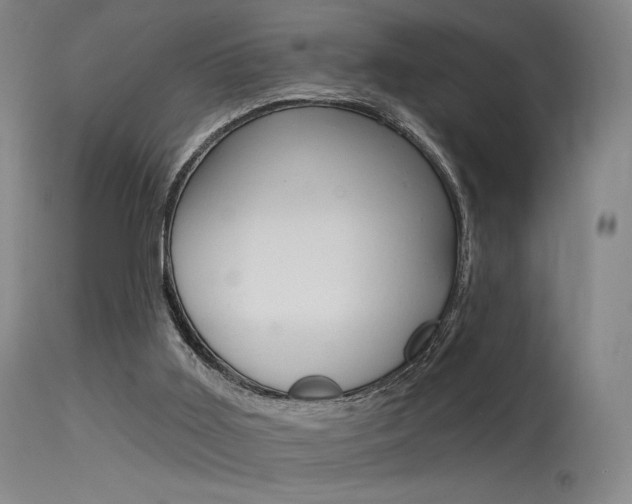 X0000115530011200911061138