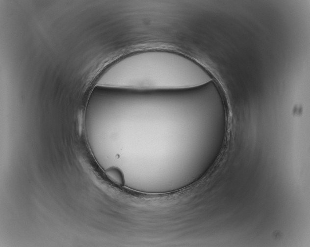 X0000115530013200911061138