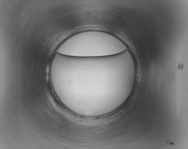 X0000115530014200911061138