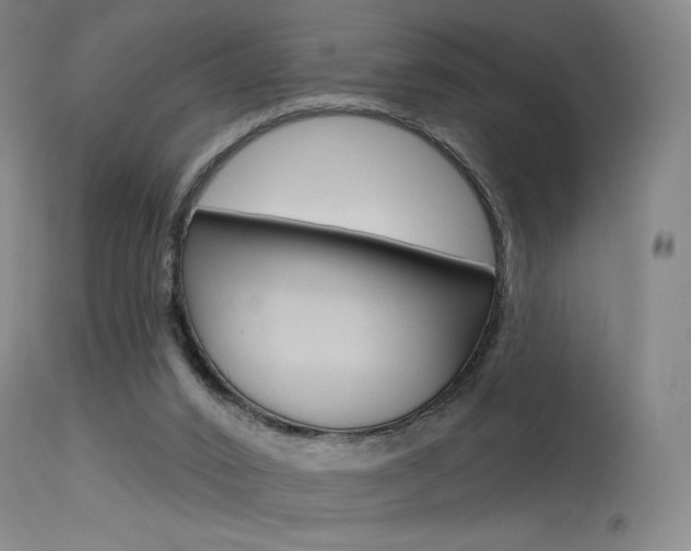 X0000115530016200911061138