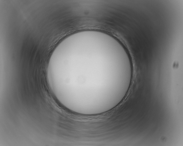 X0000115530017200911061138