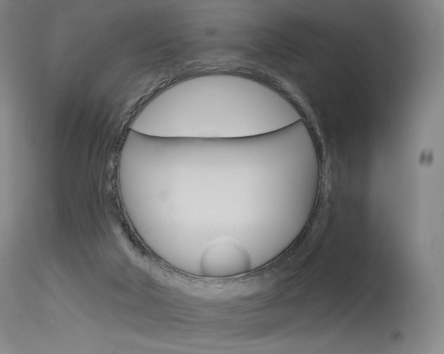 X0000115530018200911061138